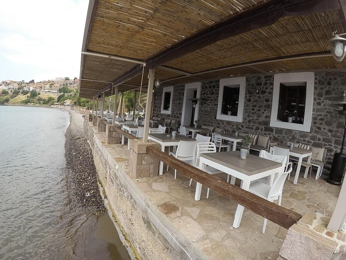 Olive Press Hotel & Apartments Míthimna Kültér fotó