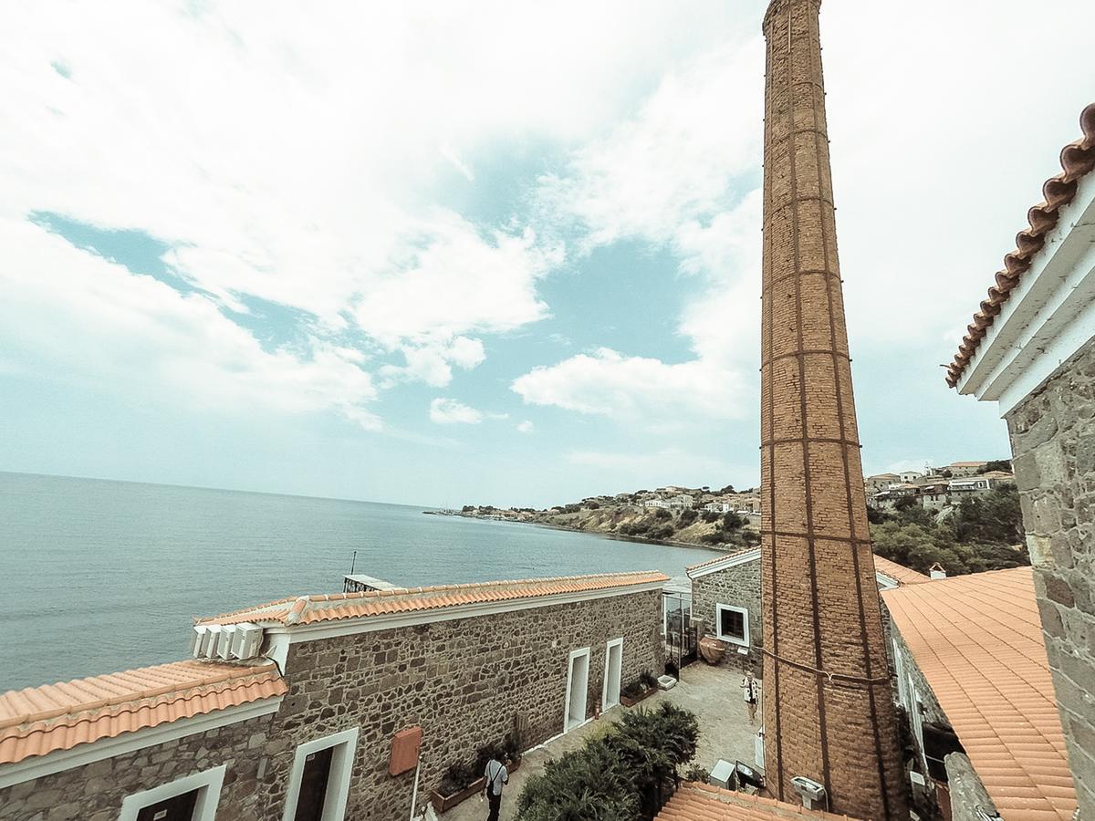 Olive Press Hotel & Apartments Míthimna Kültér fotó